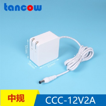 雅萌12V2ATYPE-C電源適配器美容儀私模12V2A可定制LOGO