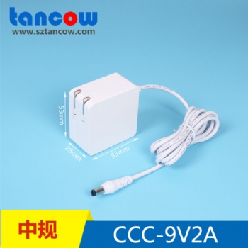 雅萌9V2ATYPE-C電源適配器高品質(zhì)18W美容儀電源適配器