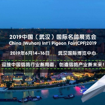 2019CPF武漢國際名鴿展