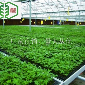 濱州蔬菜整體移動苗床使用20年華耀定制