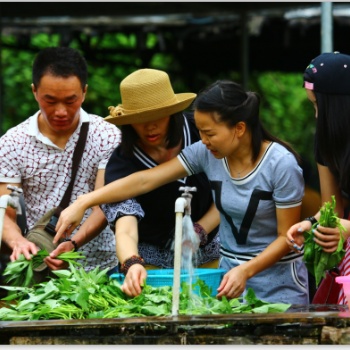 廣州白云去可以自己抓雞捉魚做飯的農(nóng)家樂帽峰山生態(tài)園