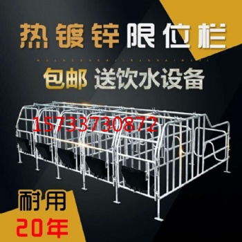 母豬定位欄加厚限位欄2.5新款 10位養殖場豬用產床保育床設備兩用