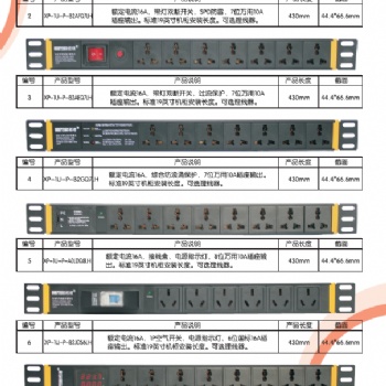 PDU機房工業級插排