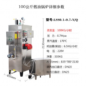 高效工業油污清洗蒸氣發生器廠家