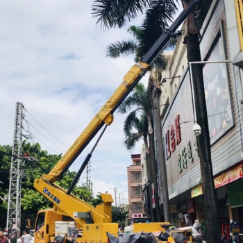 廣東茂名高州市荷花鎮升降平臺出租登高平臺出租高空作業平臺出租