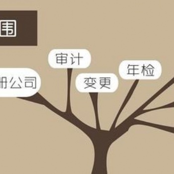 河南唐鼎財務專業代理記賬