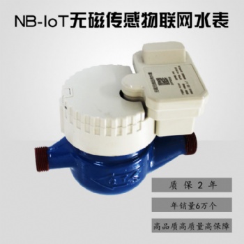 廠家 NB-Iot 遠(yuǎn)傳水表 智能水表 無磁傳感物聯(lián)網(wǎng)