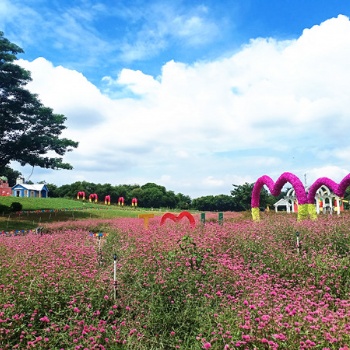 員工集體秋游中秋戶外團建去哪好松山湖生態園團建基地