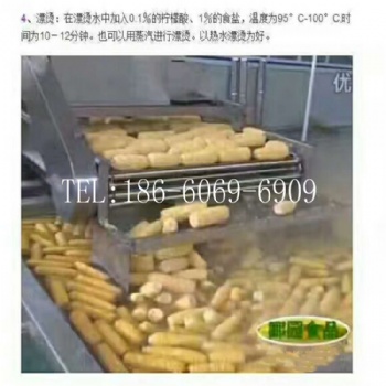 真空包裝鮮食玉米加工設備生產(chǎn)線