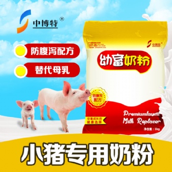 仔豬飼養管理與仔豬代乳粉的重要性