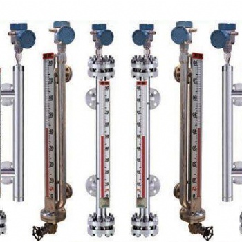 WXZJ-磁翻板液位計 磁翻板液位計廠家