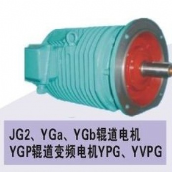 西安YG,YGa，YGb,YPG,YGP,YVPG變頻調速輥道電機廠家