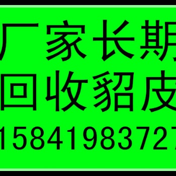 杭州收皮草的杭州收貂皮的杭州回收貂皮的