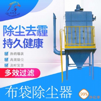 廠家定制 焦化廠布袋除塵器 36袋-360袋布袋除塵器 河北銳馳朗