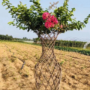 紫薇花瓶，海棠花瓶，花瓶骨架，花瓶模具