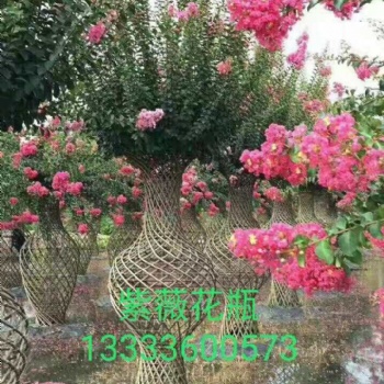 紫薇花瓶，海棠花瓶，花瓶骨架，花瓶模具，提供編織技術(shù)