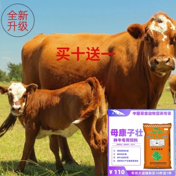 繁殖母牛飼料母牛泌乳飼料牛預(yù)混料**飼料英飼料提高繁殖率