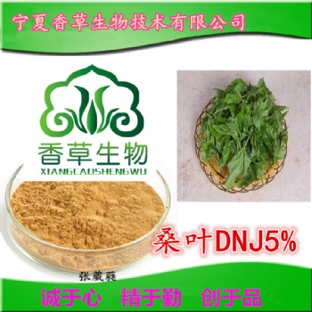 桑葉DNJ5％ 1-脫氧野尻霉素 桑葉黃酮 寧夏廠家 現貨