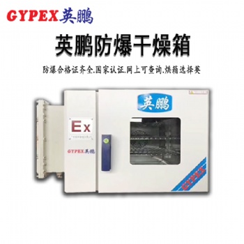 BYP-070GX-13D制藥廠防爆恒溫鼓風(fēng)干燥箱