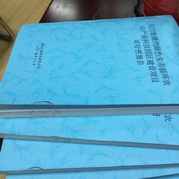 深圳市代寫項目商業計劃書