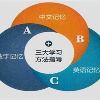 如何低風險、高利潤的進行記憶提升項目開發投資