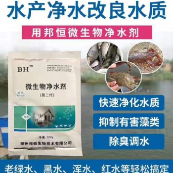 怎么能讓魚苗長得快怎么能讓魚苗長得快