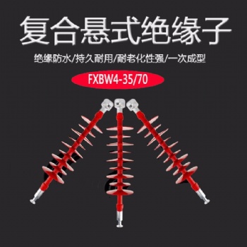 電力絕緣子 絕緣子串 復合硅膠絕緣子 FXBW-10/100 宏康電力 生產(chǎn)廠家