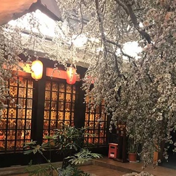 四川主題餐廳設計——天逸景觀