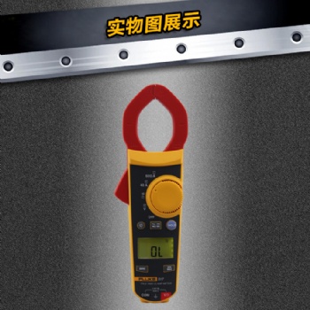 福祿克Fluke 317/319 交直流真有效值電流數(shù)字鉗形表