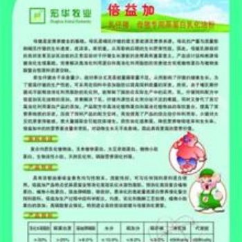 倍益加-高蛋白乳化油粉濱州宏華牧業