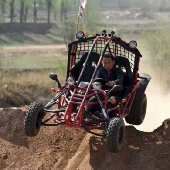 質檢局備案游樂設備 卡丁車 卡丁車介紹 卡丁車價格