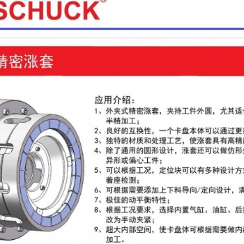 原裝進(jìn)口BOSSCHUCK外夾式精密漲套支持非標(biāo)定制