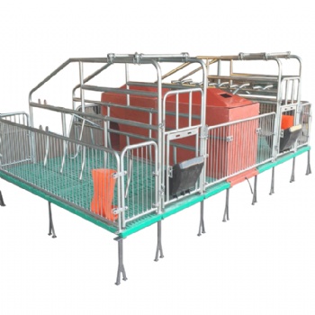 供應北京新發地 新型落地式母豬產床 雙體復合產床 產保一體