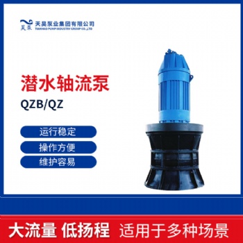 500QZB潛水軸流泵現貨供應生產廠家