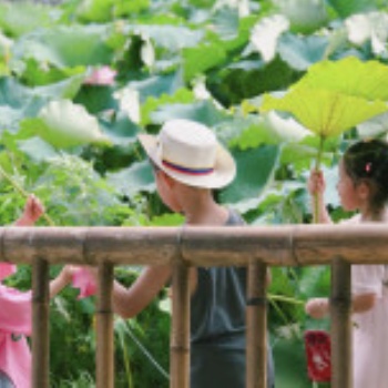 洪恩幼兒園胖仔農莊游-畢業季