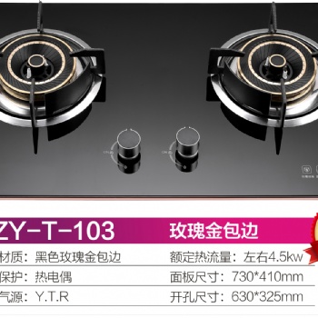 家用燃氣灶具、廚衛電器，