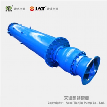 QJX300下吸式潛水電泵_制造廠報(bào)價(jià)_結(jié)構(gòu)