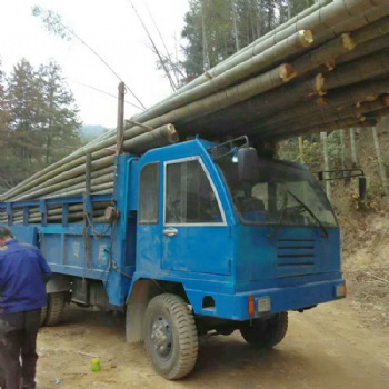 毛竹運(yùn)輸車 翻斗自卸車 改裝訂制四不像四驅(qū)車