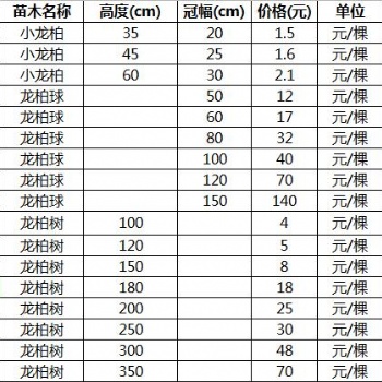 山東小龍柏_龍柏球_龍柏樹的價(jià)格表