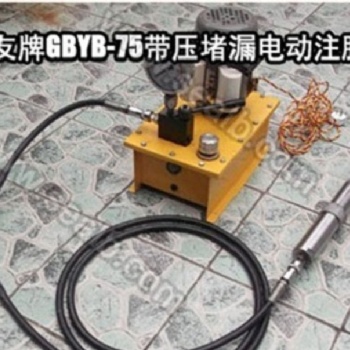 電動注膠槍 自復位高壓注劑槍工具 帶壓堵漏工具 上海供應