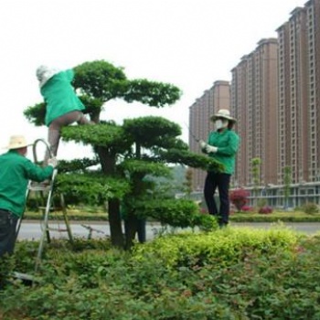 承接別墅綠化養護，私家花園綠化保養，廠區綠地管理