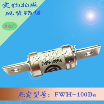 巴斯曼熔斷器 FWH-100B 現貨全新 量多供應