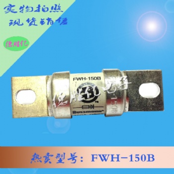 巴斯曼熔斷器 FWH-150B 現貨量多 歡迎訂購