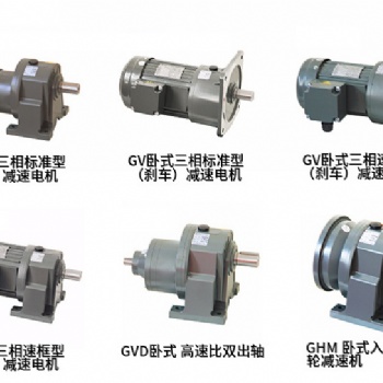 臺灣士元三相齒輪減速電動機