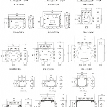 供應(yīng)上海飛策BJX-系列防爆接線箱