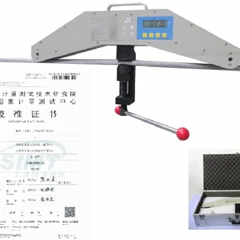 鋼絞線張拉力儀 SL-20t數顯拉力檢測儀 吊索張力測試儀