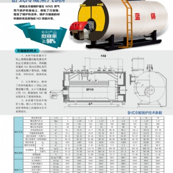 藍天供應河北臥式冷凝蒸汽鍋爐