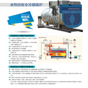 山東藍(lán)天供河北余熱回收全冷凝鍋爐