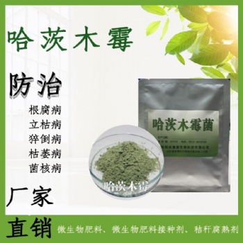 哈茨木霉生物菌劑腐熟劑根腐葉斑白粉病土傳病克星原菌有機肥料菌劑廠家直供