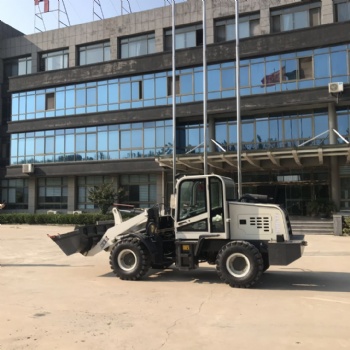 蘭西矮棚裝卸鏟車地下室養(yǎng)殖場用矮體小鏟車建筑工地用矮腳虎裝載機(jī)